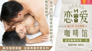 MDM003 戀愛咖啡館 第一季 第三杯