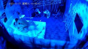 [MP4/ 1.18G]&nbsp;&nbsp; 最新解密安防酒店摄像头破产王思聪玩情趣酒店被拍？披肩长发极品身材网红的主动骑乘玩的很嗨