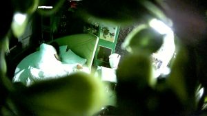 [MP4/ 1.29G] Hotel偷拍稀缺未流出绿叶投影饥渴女友衣服没脱完就骑上J8开操 身材不错 一小时操两炮