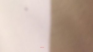 [MP4/ 170M] 矜持又想要的样子，最让男人欲罢不能了：好啦， 别拍了 你讨厌怎么拍，啊啊啊舒服！