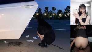 [MP4/ 251M] 最新性爱泄密约操极品身材纯欲反差婊女博主激情车震 没操够酒店接着操 爆操嫩穴淫水白浆直流