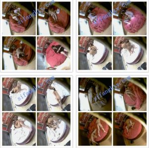 [MP4/9.3G]&nbsp; 【360酒店】经典玫瑰主题大圆床20V，入住情侣相比较会玩，各种姿势样样精通