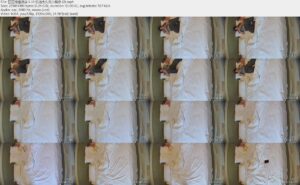 ❣️情趣酒店 6-19 饥渴太久的小情侣 男友一来就开搞 直接先干两炮 小美女是真不错 这男人就重口警告了