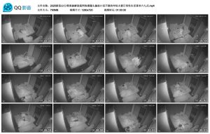 新流出黑客破解家庭网络摄像头偷拍口活不错的年轻夫妻日常性生活喜欢六九式[MP4/790MB]