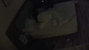 [MP4/ 549M] 最新流出酒店偷拍刚返校的大学生情侣入住洗澡啪啪关灯睡觉一气呵成宛如老夫老妻