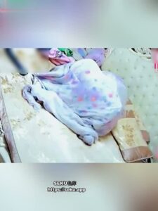 [MP4/ 89M] 德云社秦霄贤 被前女友辛雨锡爆光出轨时女方偷拍视频！视频监控海量证据齐发实锤黑料 ！