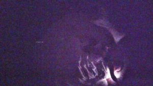 [MP4/ 707M] 酒店摄像头偷拍年轻小哥和邻居如狼似虎少妇开房偷情干得正起劲来电话了最后无套内射逼里