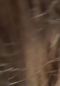 [MP4/ 313M] 长沙顶级母狗 周思怡 大尺度视频流出 下海兼职外围被金主调教