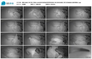 摄像头偷拍鸡巴粗大男操女友前戏的时候揉她的阴蒂阴道很湿大鸡巴很轻松就插入事后发现被偷拍衣服挡摄像头[MP4/329MB]
