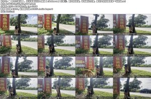 ☀【2025新品】天花板露出狂人御姐【cikaimoon】付费⑤，更大胆直接，渔场路边全裸，摩托大叔徘徊想来一场艳遇